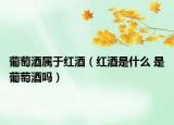葡萄酒属于红酒（红酒是什么 是葡萄酒吗）