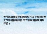 大气环境质量评价的常见方法（如何处理大气环境影响评价 空气质量现状监测与评价）