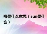 飧是什么意思（sun是什么）