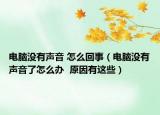 电脑没有声音 怎么回事（电脑没有声音了怎么办  原因有这些）
