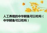 人工养殖的中华鲟鱼可以吃吗（中华鲟鱼可以吃吗）