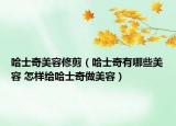 哈士奇美容修剪（哈士奇有哪些美容 怎样给哈士奇做美容）