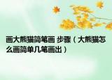 画大熊猫简笔画 步骤（大熊猫怎么画简单几笔画出）