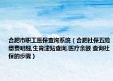 合肥市职工医保查询系统（合肥社保五险缴费明细,生育津贴查询,医疗余额 查询社保的步骤）