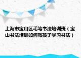 上海市宝山区毛笔书法培训班（宝山书法培训如何教孩子学习书法）