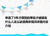 申请了3年才领到的导盲犬被顺走 什么人这么缺德具体情况详细内容介绍