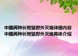 中国两种长臂猿野外灭绝详细内容 中国两种长臂猿野外灭绝具体介绍