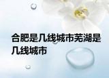 合肥是几线城市芜湖是几线城市