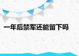 一年后禁军还能留下吗