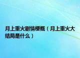 月上重火剧情梗概（月上重火大结局是什么）