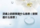 灵魂上的默契是什么意思（默契是什么意思）