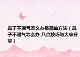 鼻子不通气怎么办最简单方法（鼻子不通气怎么办 八点技巧与大家分享）