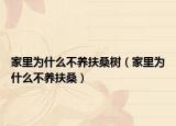 家里为什么不养扶桑树（家里为什么不养扶桑）