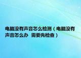 电脑没有声音怎么检测（电脑没有声音怎么办  需要先检查）