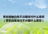 京东购物白条不分期支付什么意思（京东白条支付不分期什么意思）
