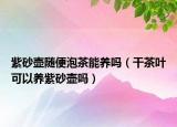 紫砂壶随便泡茶能养吗（干茶叶可以养紫砂壶吗）