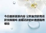 今日最新更新内容 公积金贷款有还款宽限期吗 逾期还款的补救措施有哪些