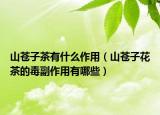 山苍子茶有什么作用（山苍子花茶的毒副作用有哪些）