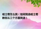 哈士奇怎么挑（如何挑选哈士奇 教你从三个方面挑选）