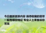 今日最新更新内容 值得收藏的翡翠一般有哪些特征 专业人士来告诉你答案