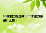 tm熊的力量图片（tm熊的力量是什么梗）