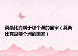 莫桑比克属于哪个洲的国家（莫桑比克是哪个洲的国家）