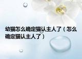 幼猫怎么确定猫认主人了（怎么确定猫认主人了）