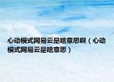 心动模式网易云是啥意思啊（心动模式网易云是啥意思）