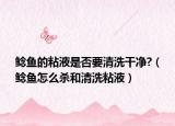 鲶鱼的粘液是否要清洗干净?（鲶鱼怎么杀和清洗粘液）