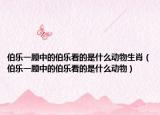 伯乐一顾中的伯乐看的是什么动物生肖（伯乐一顾中的伯乐看的是什么动物）
