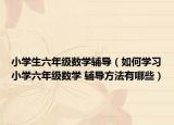 小学生六年级数学辅导（如何学习小学六年级数学 辅导方法有哪些）