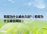 莉哥为什么被永久封?（莉哥为什么被全网封）