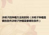 决明子的种植方法和时间（决明子种植需要的条件决明子种植需要哪些条件）
