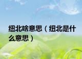 纽北啥意思（纽北是什么意思）