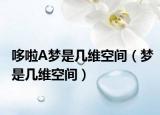 哆啦A梦是几维空间（梦是几维空间）