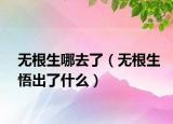 无根生哪去了（无根生悟出了什么）