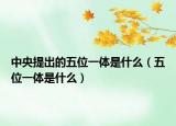 中央提出的五位一体是什么（五位一体是什么）