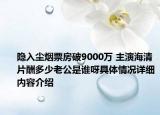 隐入尘烟票房破9000万 主演海清片酬多少老公是谁呀具体情况详细内容介绍