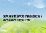 氢气分子和氯气分子的反应过程（氢气和氯气反应分子式）
