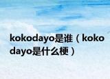 kokodayo是谁（kokodayo是什么梗）