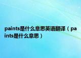 paints是什么意思英语翻译（paints是什么意思）