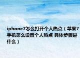 iphone7怎么打开个人热点（苹果7手机怎么设置个人热点 具体步骤是什么）