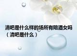 清吧是什么样的场所有陪酒女吗（清吧是什么）