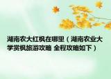 湖南农大红枫在哪里（湖南农业大学赏枫旅游攻略 全程攻略如下）