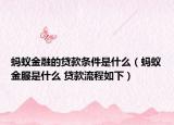 蚂蚁金融的贷款条件是什么（蚂蚁金服是什么 贷款流程如下）