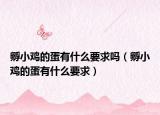 孵小鸡的蛋有什么要求吗（孵小鸡的蛋有什么要求）