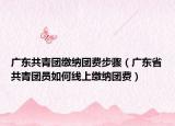 广东共青团缴纳团费步骤（广东省共青团员如何线上缴纳团费）