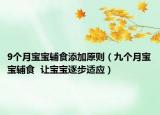 9个月宝宝辅食添加原则（九个月宝宝辅食  让宝宝逐步适应）