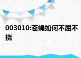 003010:苍蝇如何不屈不挠