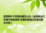 富贵树叶子发黄枯萎怎么办（如何救治已经黄叶的富贵树 发黄的原因以及提出解决对策）